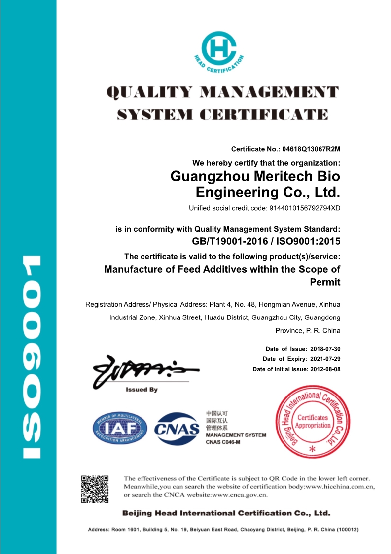 ISO 9001 International Certification